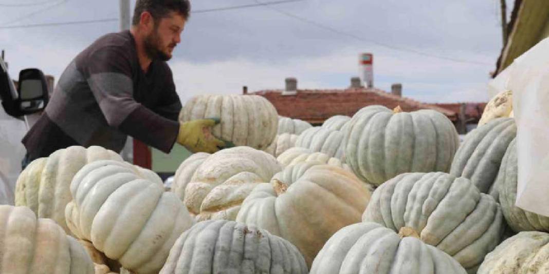 Ata tohumundan üretiliyor, lezzeti herkesçe biliniyor! Eskişehir’in dillere destan balkabağı: 20 liradan satılacak 1